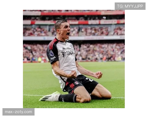 帕利尼亚在葡萄牙国家队主力后腰位置上的角色与竞争格局